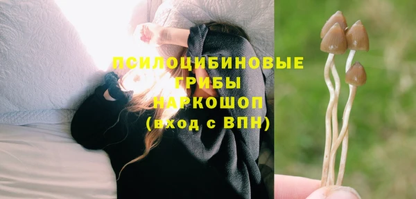 Альфа ПВП Богородицк