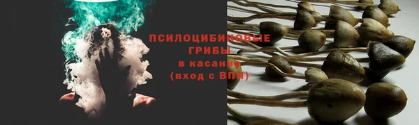 трава Богданович