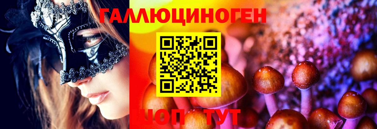 Галлюциногенные грибы GOLDEN TEACHER  Вход с VPN  Дагестанские Огни 